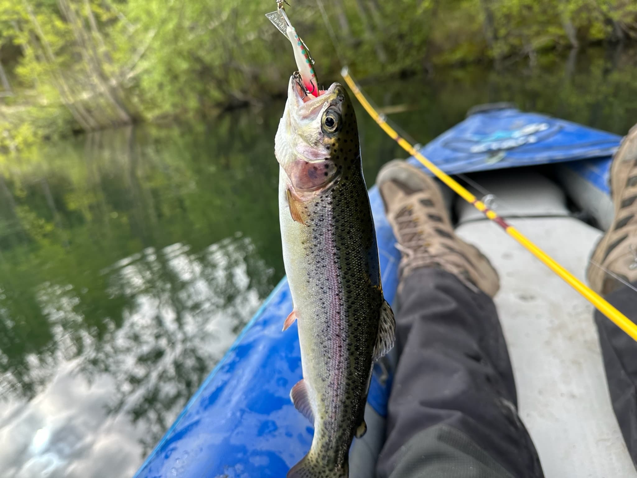 Adventures by True North Ak team