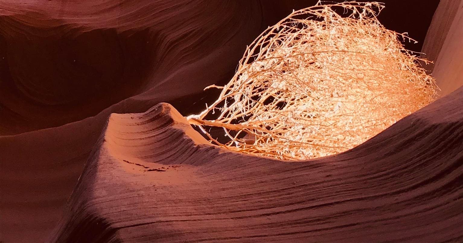 Lower Antelope Canyon & Horseshoe Bend Tours with Dineh Tours