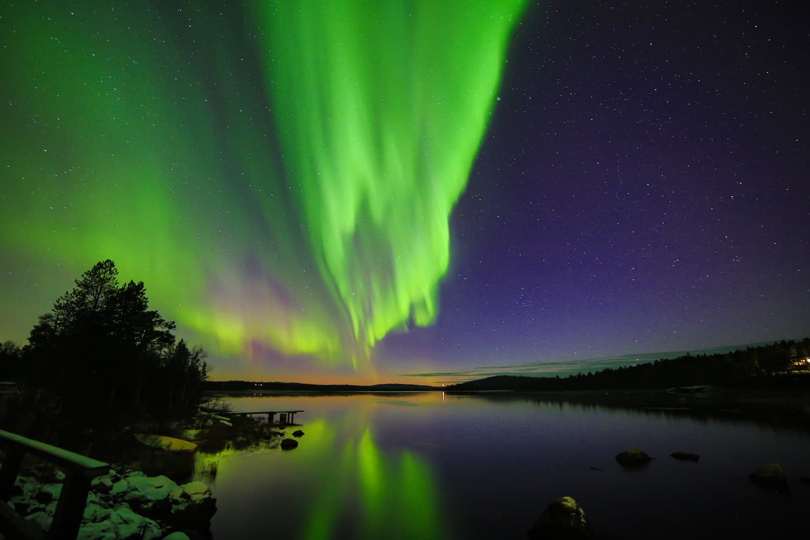 Winter Wildlife & Aurora Viewing at Aurora Camp by Saariselkä