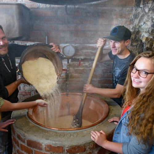 Hands-On Märzen Brewing at Axel Kiesbye GmbH