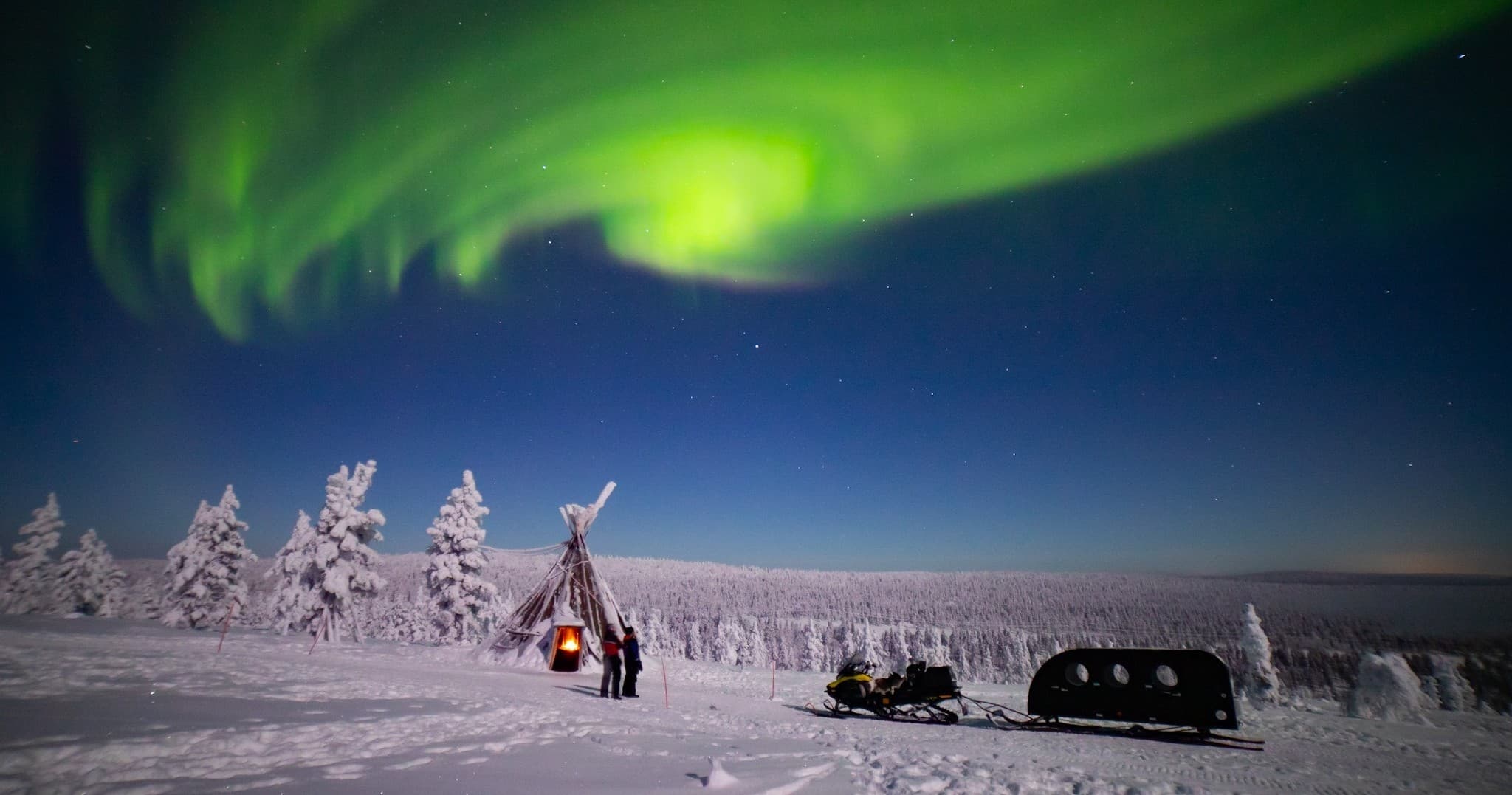 Aurora borealis above snowy campsite and trees in Lapland night