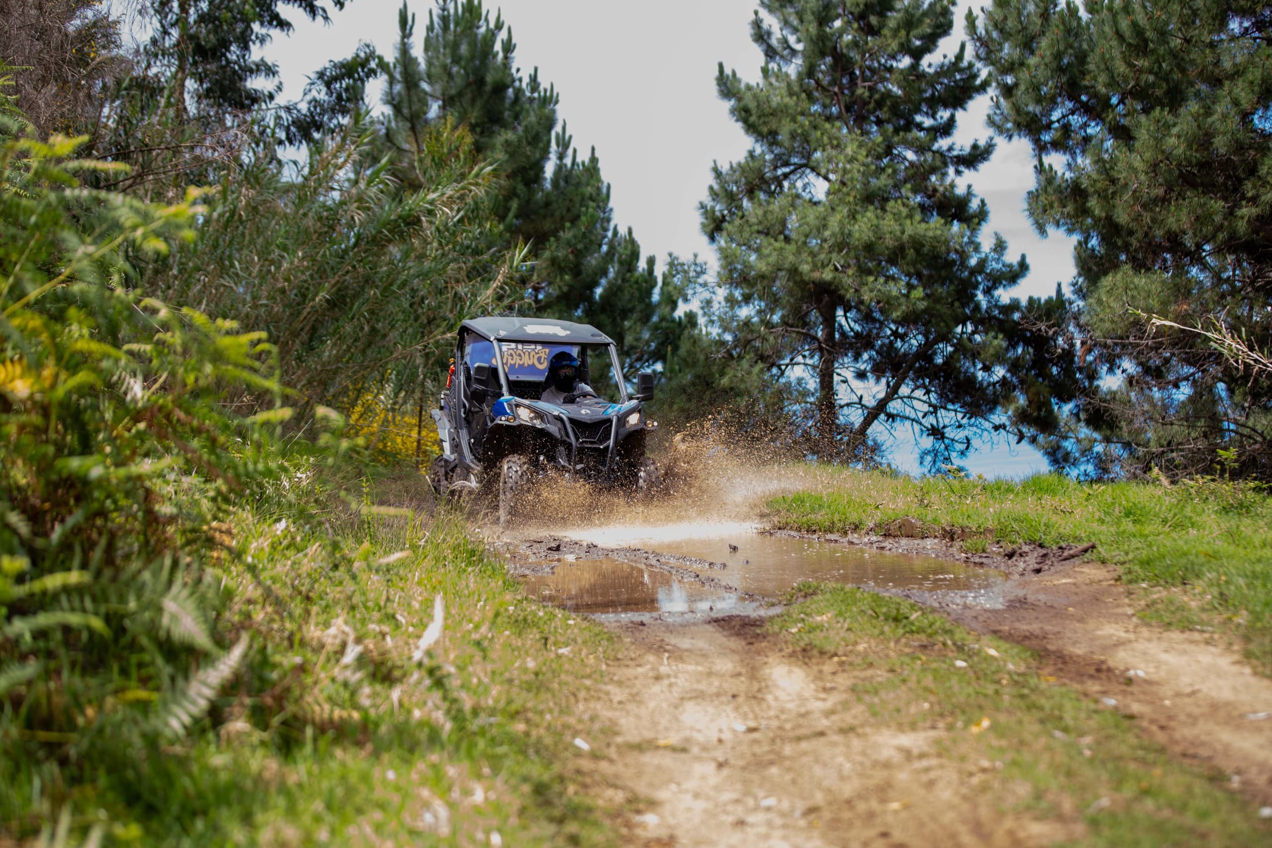 Rabaçal (Limited Edition): Can-Am Buggy Race from Calheta to Madeira Heights