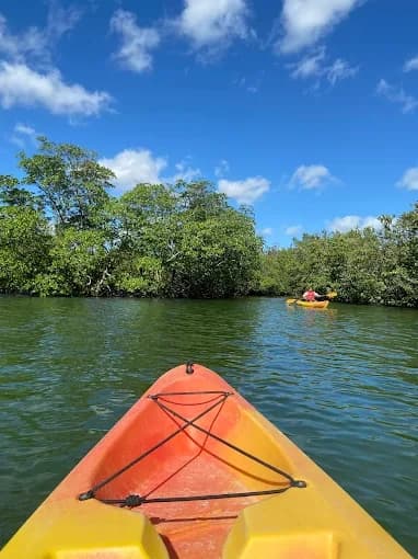 Paddle Oleta River Adventures: Biscayne Bay Eco Tour