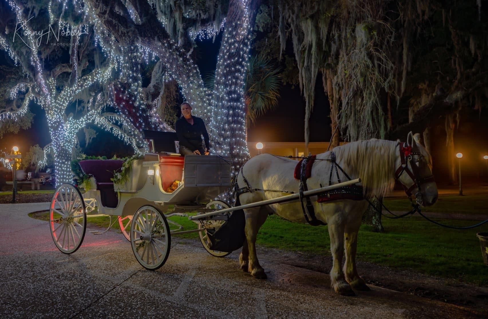 Romantic Evening Carriage Ride on Jekyll Island