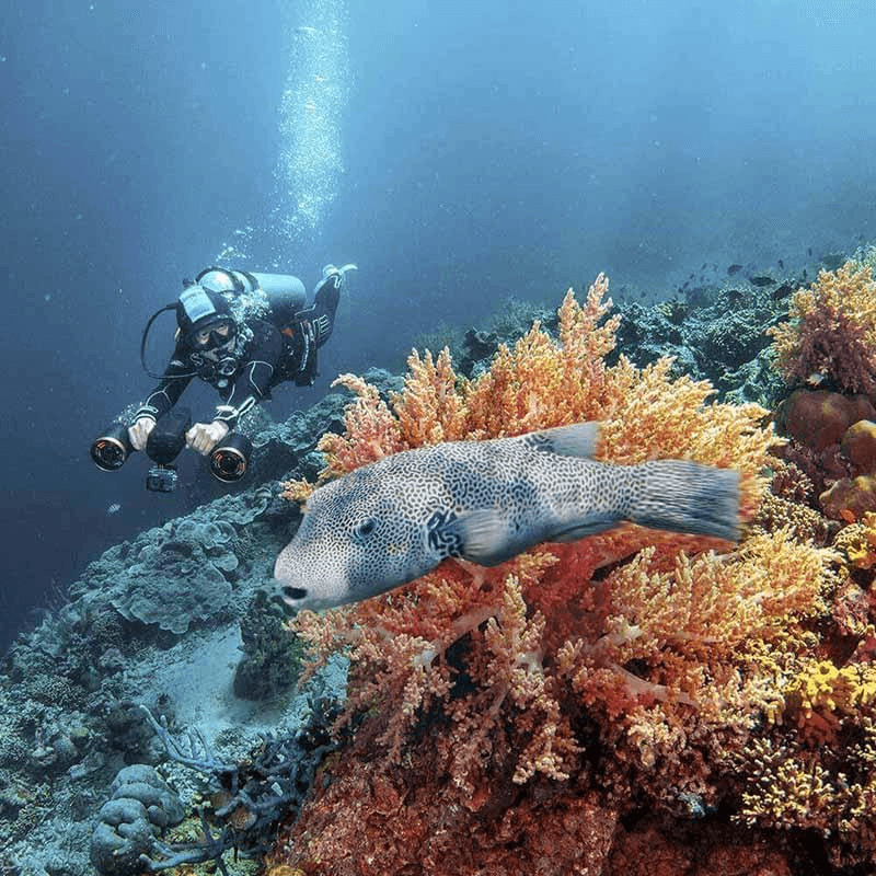 Explore Garden City Underwater with WhiteShark MixPro