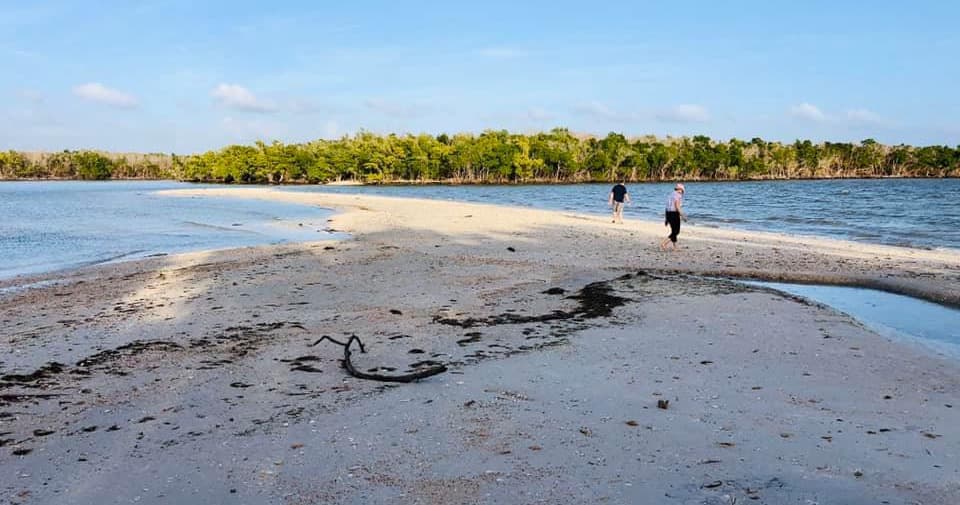 Eco Wilderness Tour with Captain Craig's Adventures in Chokoloskee