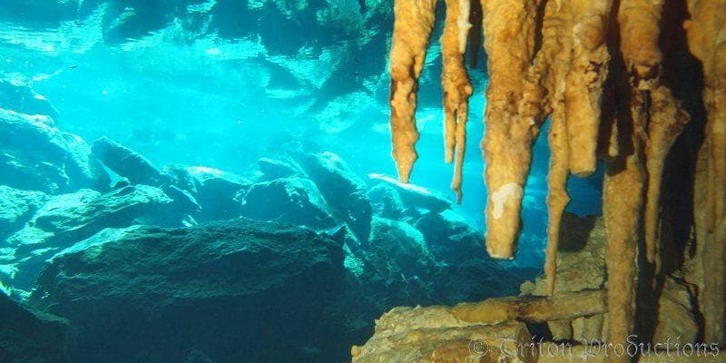 Tajma Ha Cenote Dive with Always Diving & Water Sports