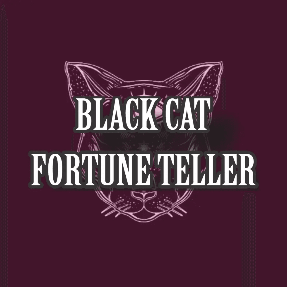 Black Cat Fortune Teller Escape Room in Brighton, MI