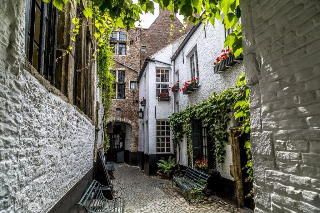 Walking Tour & Hidden Gems in Antwerp by Forton Events