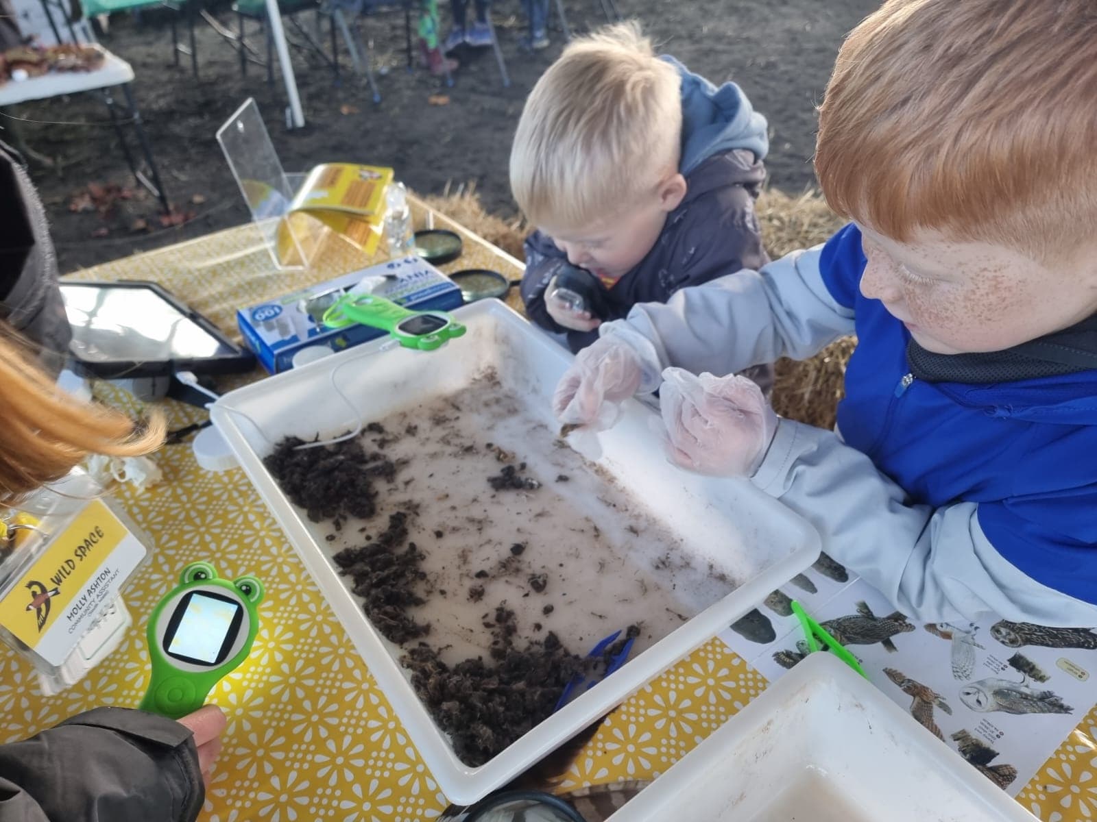 Hands-On Tidepool Science at Sea Trust Wales’ Ocean Lab — Family-Friendly Marine Workshops in Goodwick