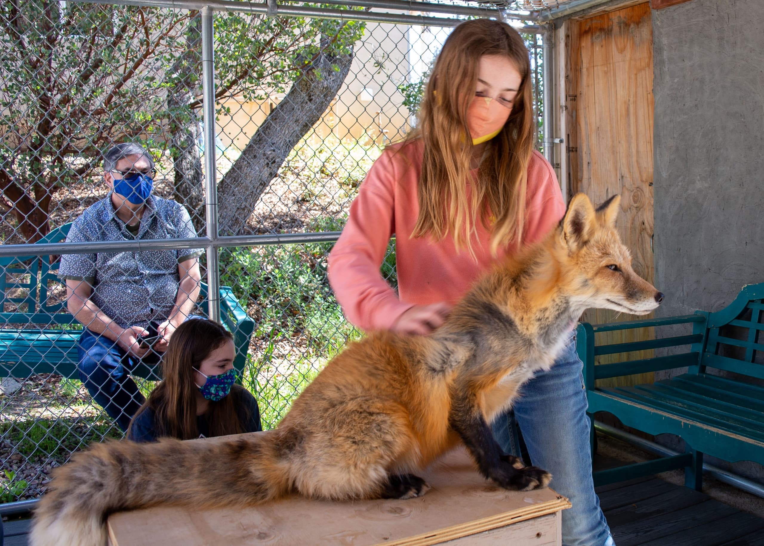 Unique Animal Encounters for Events in Santa Ysabel, CA