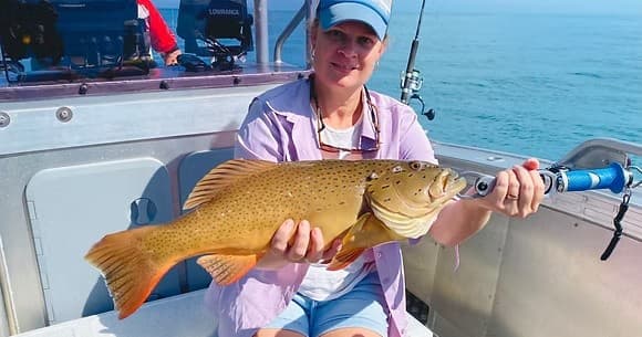 Half-Day Private Fishing Charter from Airlie Beach: Gulfrunner 620 in the Whitsundays