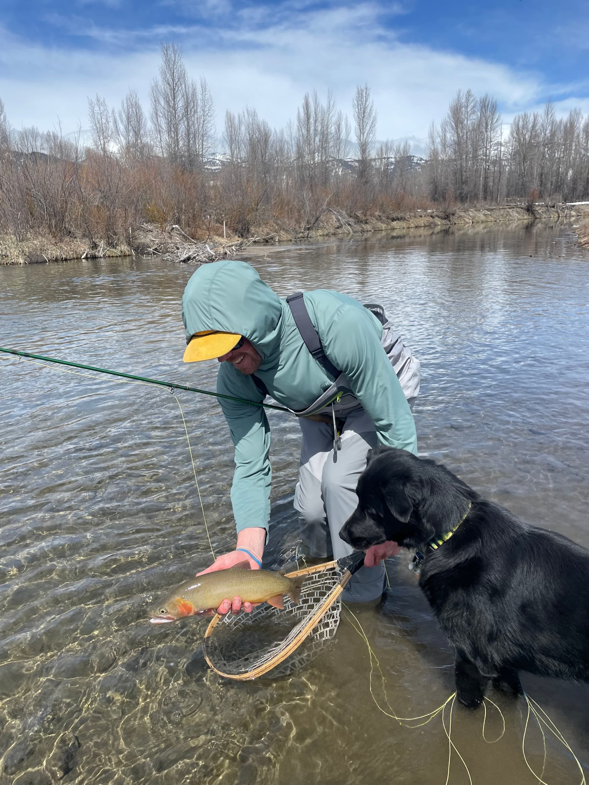 Wade Fly Fishing the Snake River: Half-Day Guided Trips from Jackson, WY photo 2