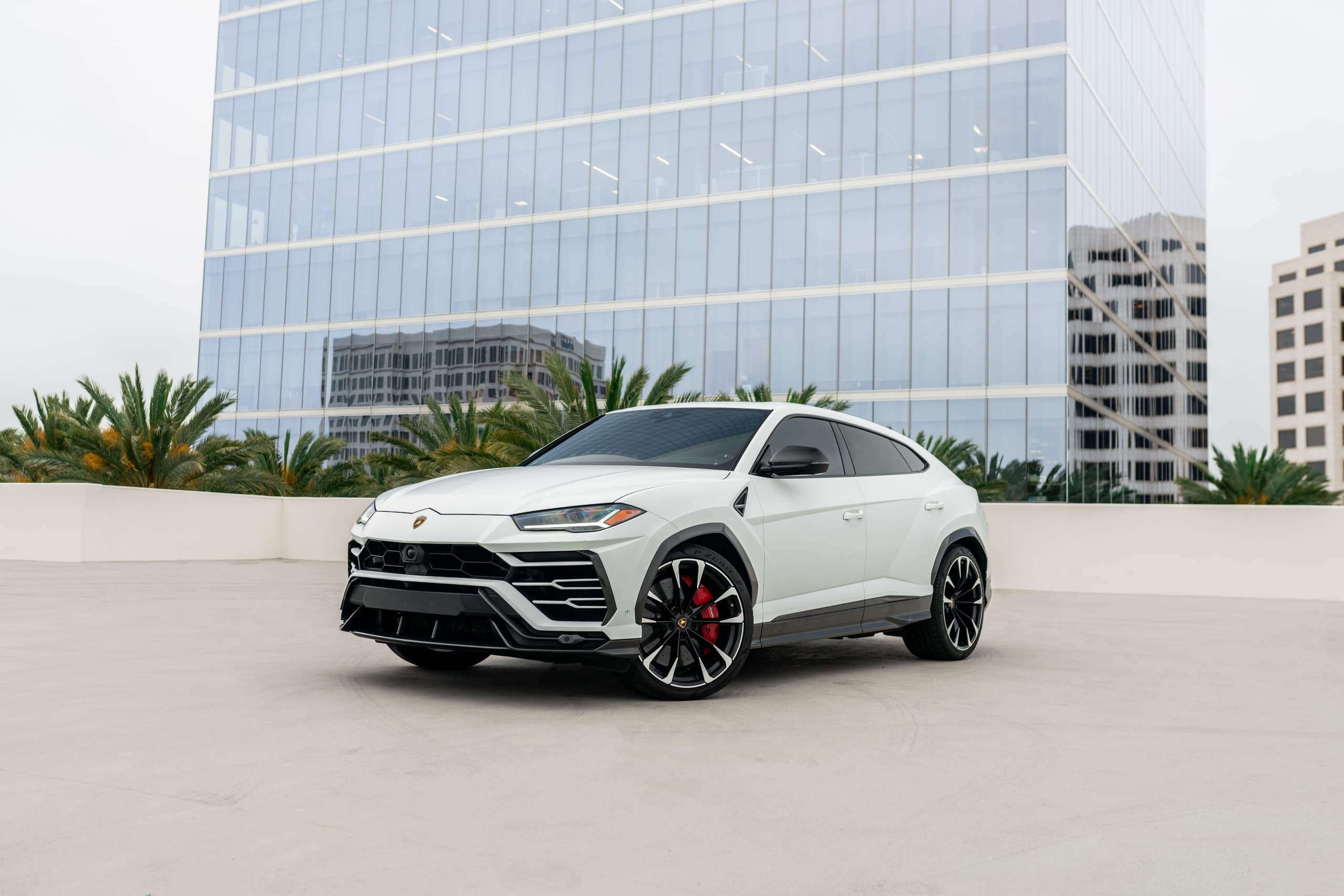 Drive the Matte White Lamborghini Urus in Huntington Beach