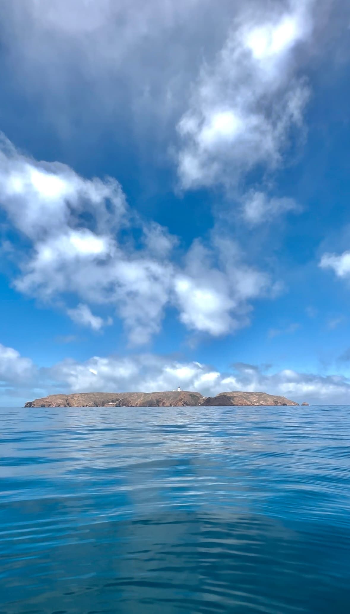 Berlenga Premium Experience: Private Boat to Caves, Bays & Snorkel photo 1
