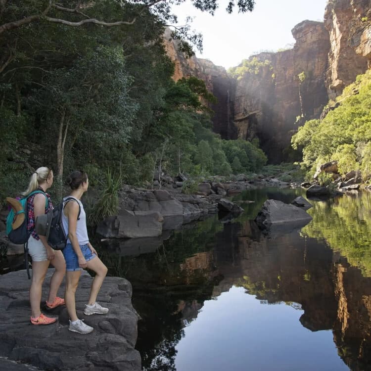 Darwin to Kakadu: Jumping Crocodiles and River Wildlife Day Tour