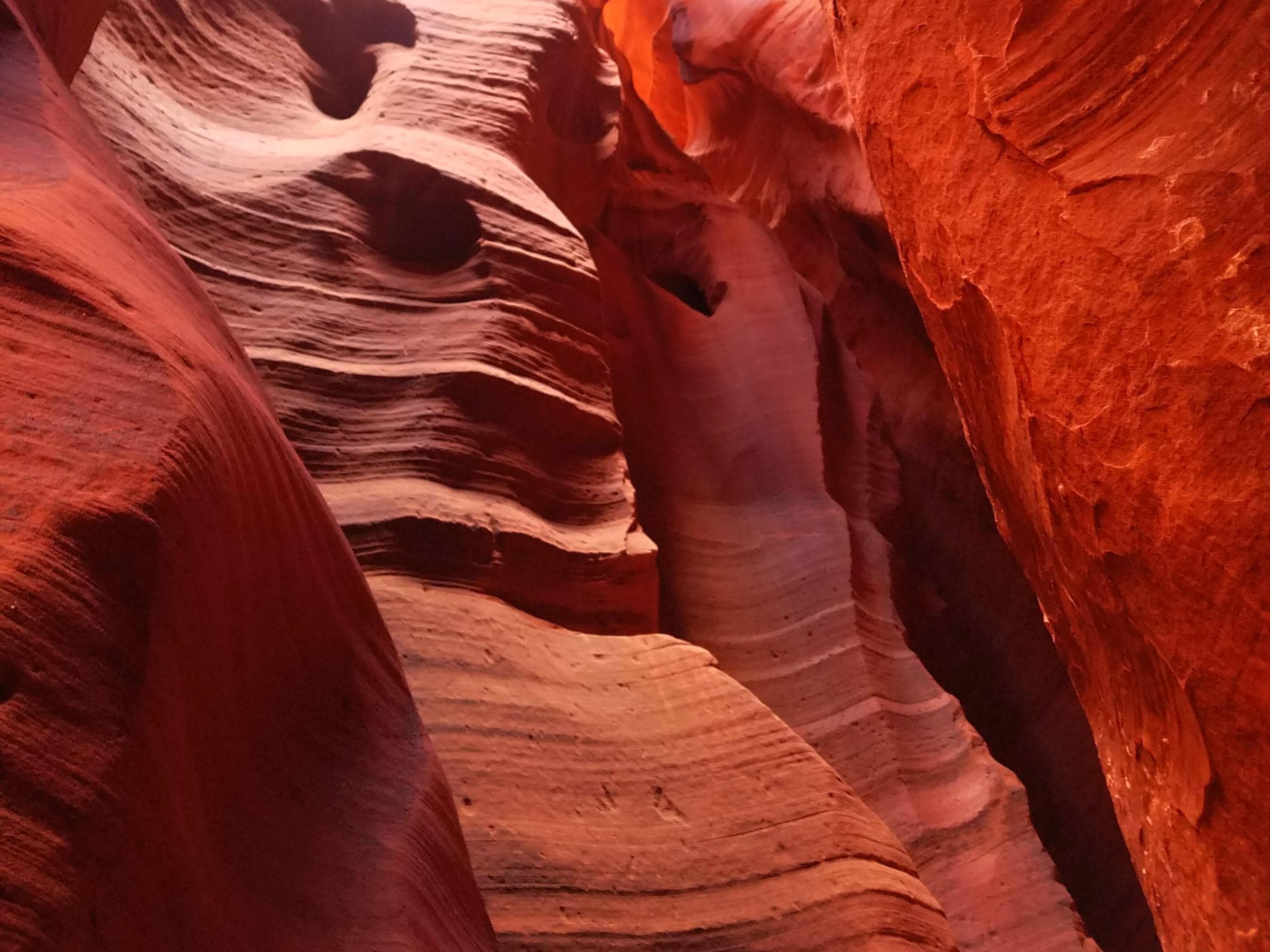 Land Adventures: Antelope Canyon & Horseshoe Bend from Las Vegas
