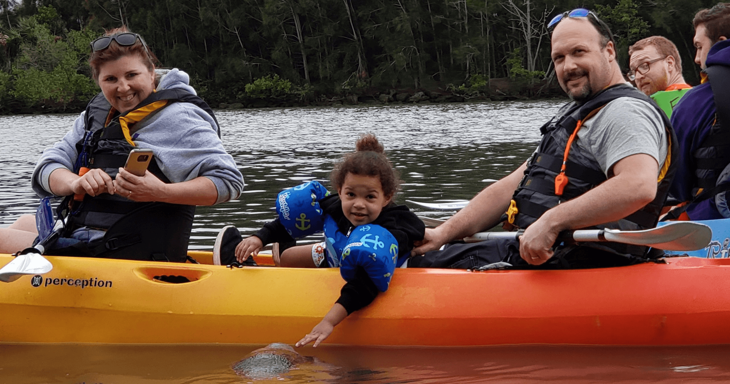 Manatee and Dolphin Kayaking Tour in Palm Bay, Florida