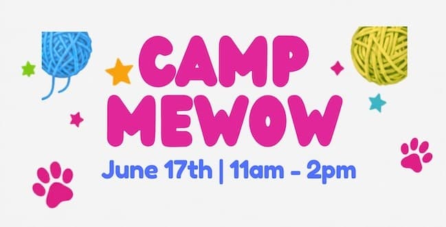 Camp MeWow: Cat Café Day Camp in Doylestown for Kids (Ages 9+)