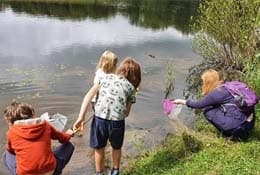 River Dipping in Swansea: Hands-On Wildlife Events at Clyne Valley photo 1