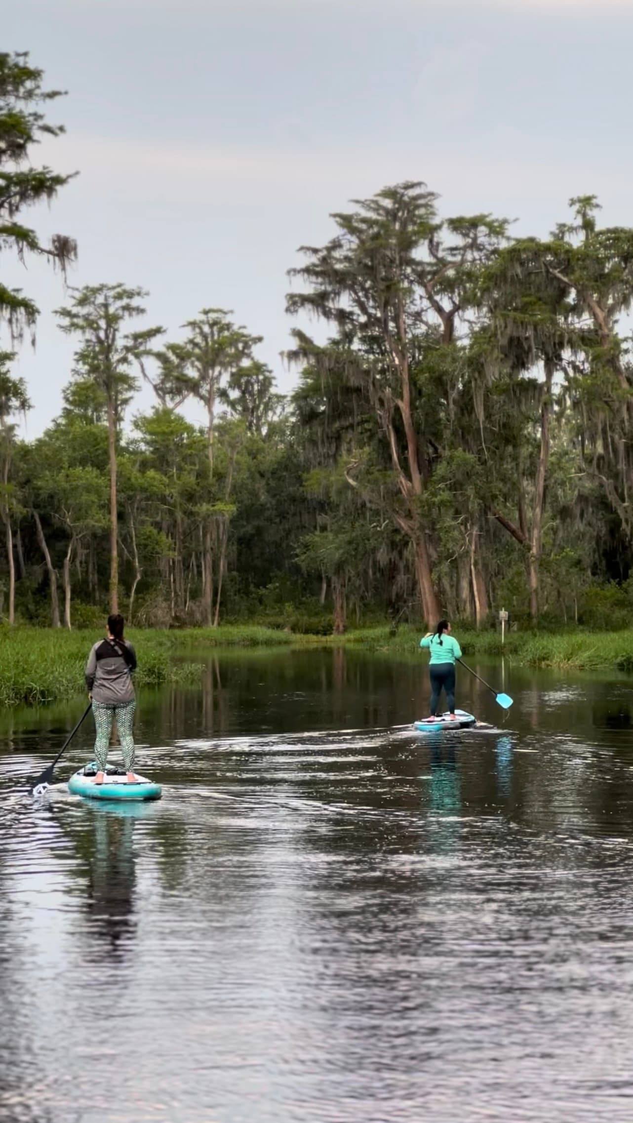 Paddle Wild Florida: Lake Louisa Paddleboarding Tour on the Crooked River photo 1
