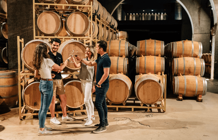 D.O. Madrid Wine & Villages Journey with World Experience