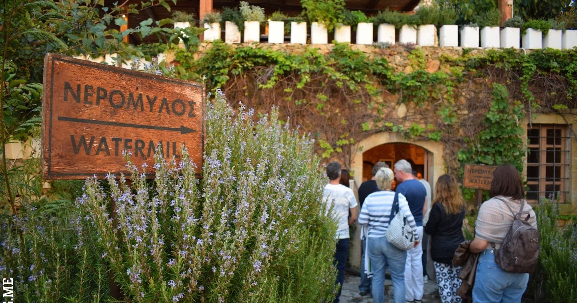 Wine & Olive Oil Tour in Chania | Greeking.me