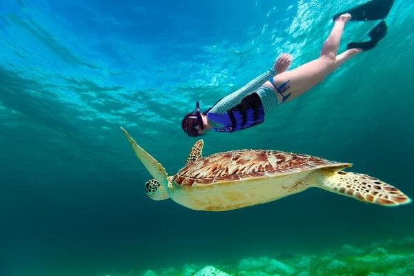 Cancún Zip Line, Snorkeling & Rappel with Interliv Travel