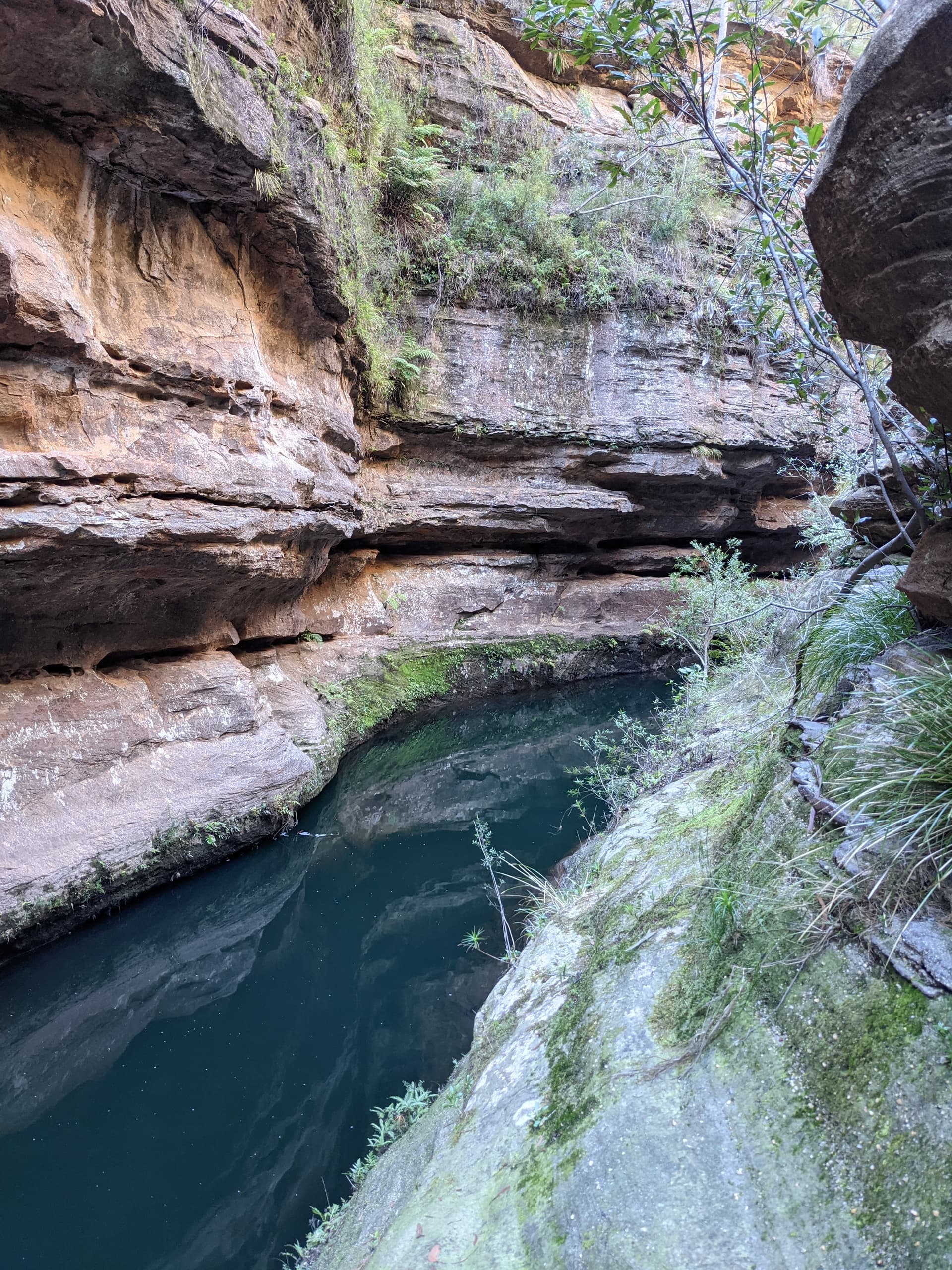 Canyoning Adventure with Wollemi Wanders Pty Ltd in Wollangambe Canyon
