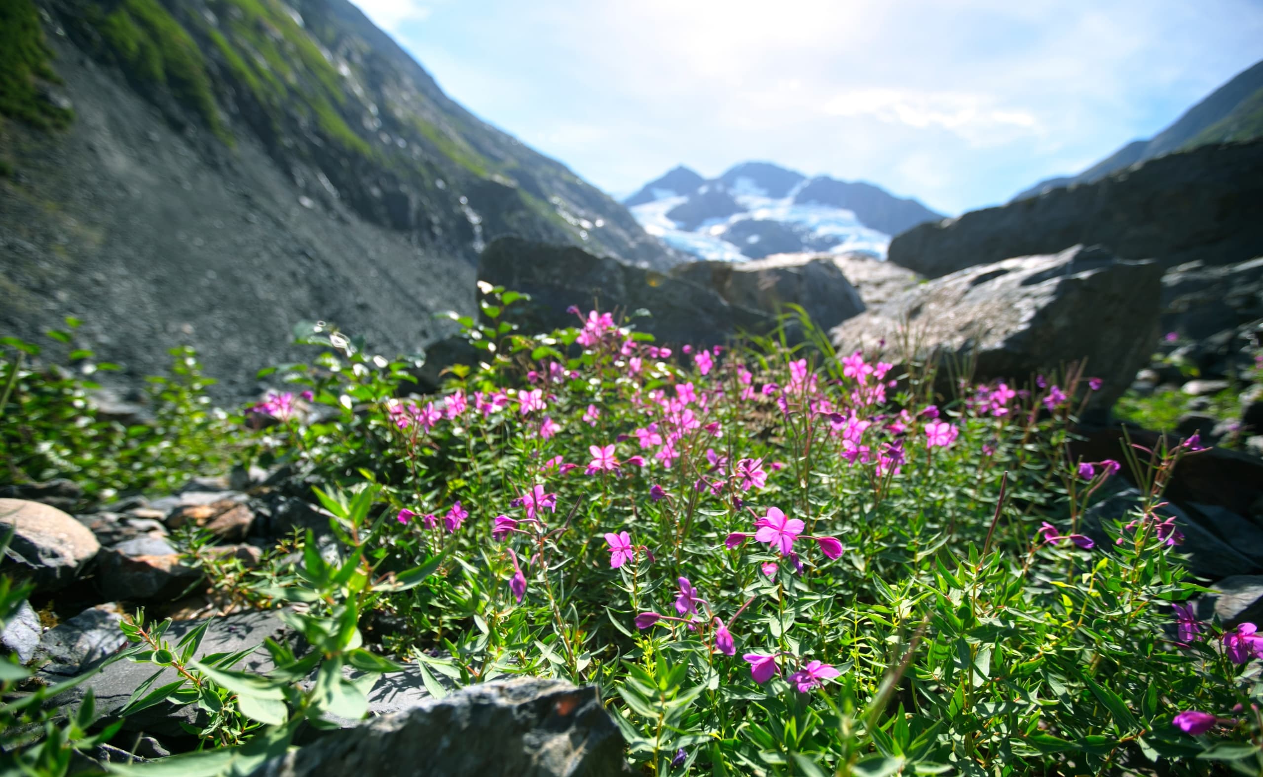 Custom Private Tours with Welcome Anchorage Tours in Alaska