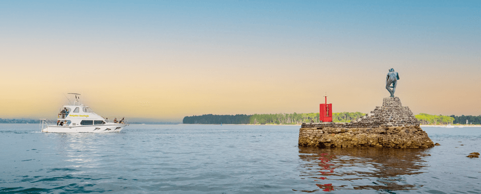 Winter Coastal Boat Trip with Dolphin Seafaris in Tauranga Bay