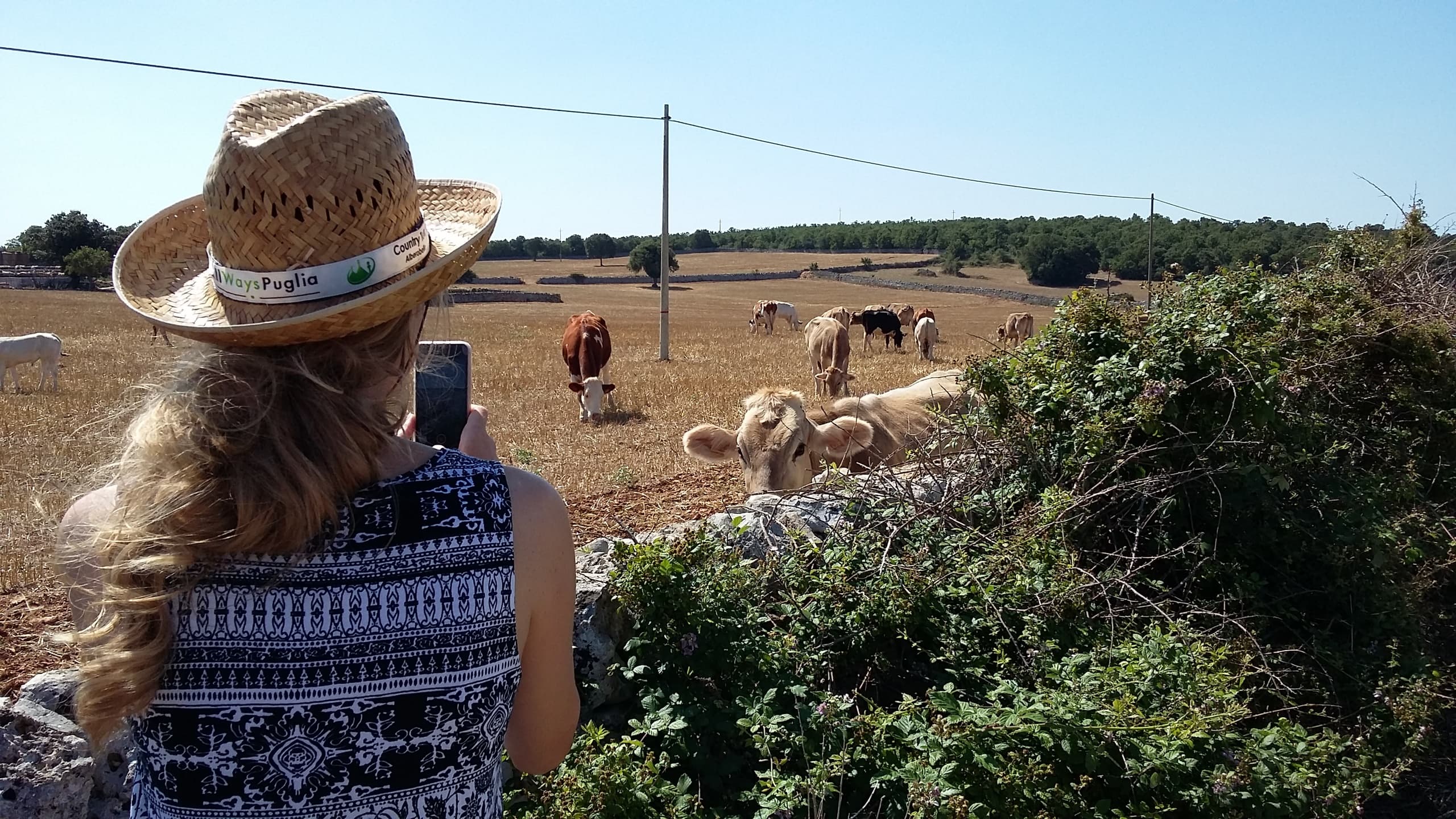 Immersive Alberobello Audio Tour with AllWays Puglia