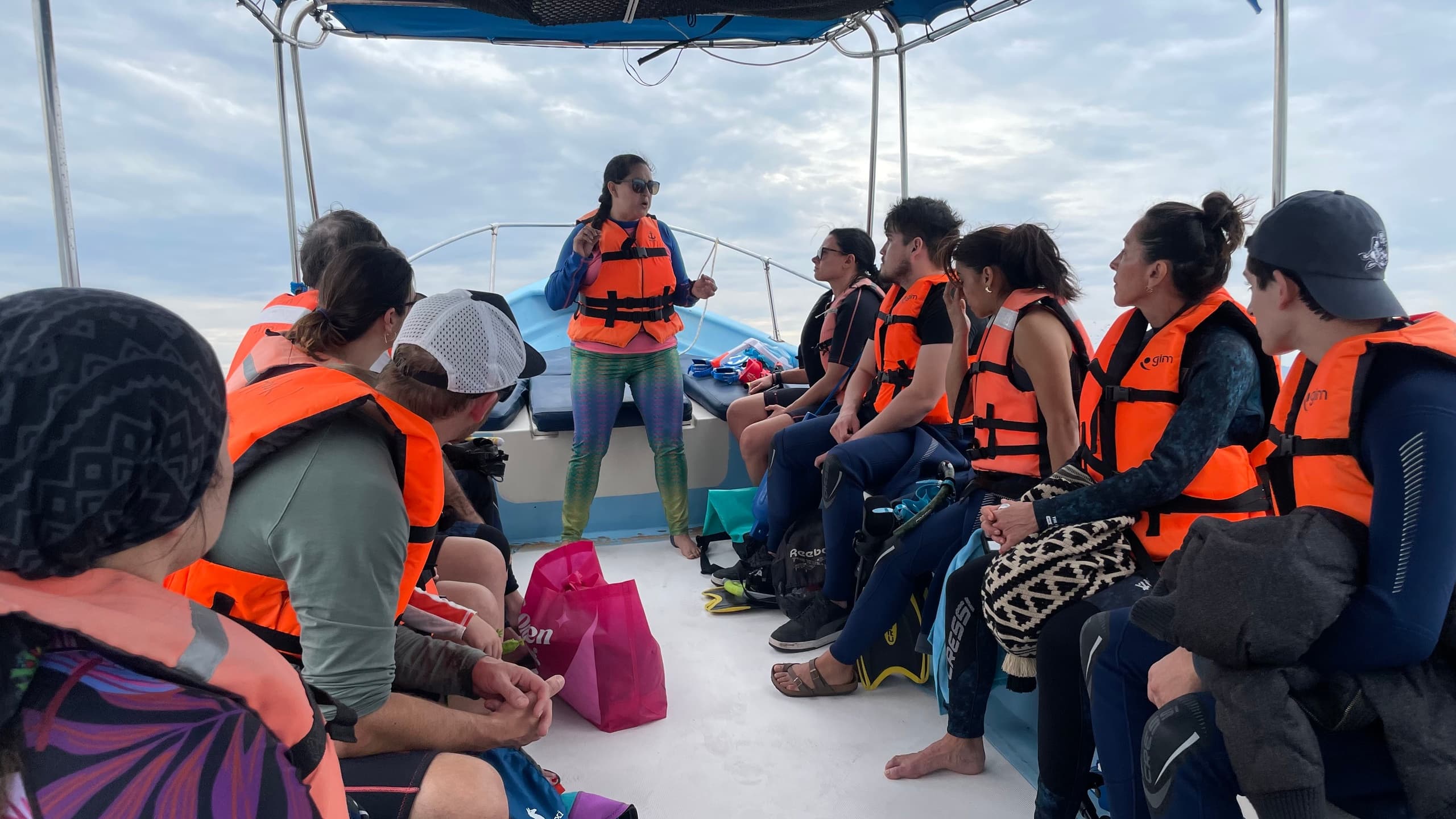 Up-Close With Gentle Giants: The Hook Whale Shark Experience in La Paz photo 2