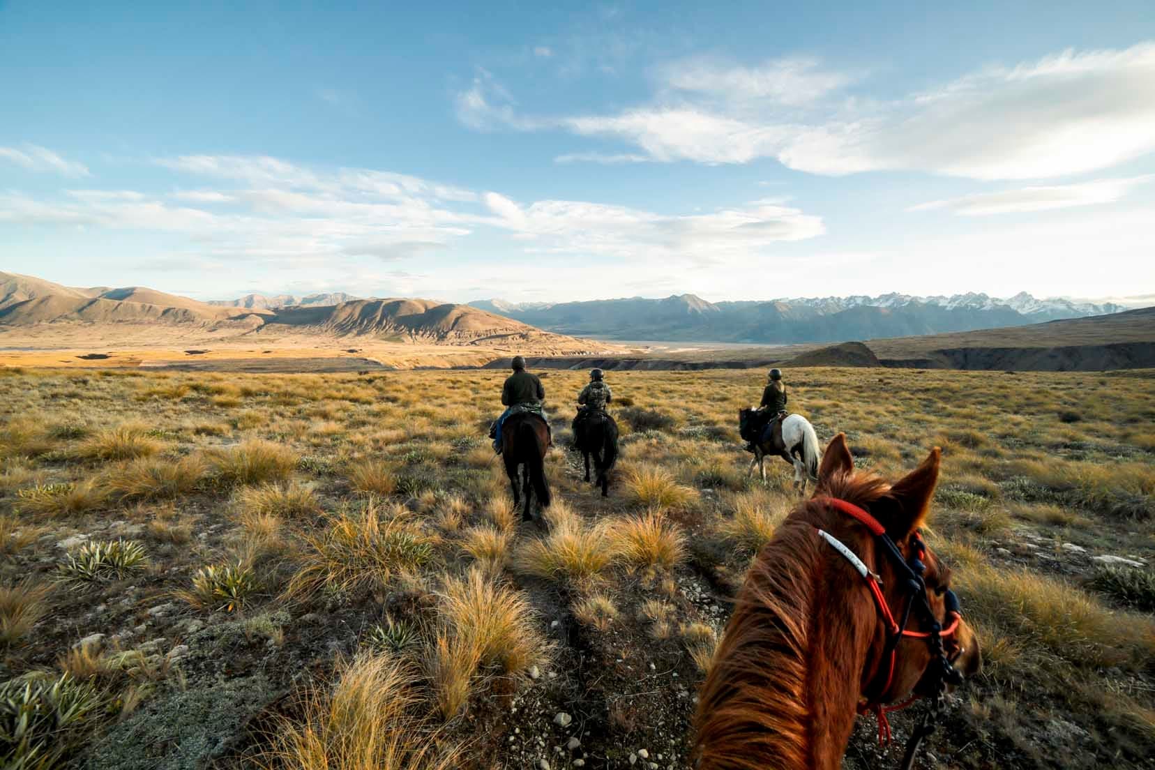 Horse trekking across open tussock plains with mountain vistas