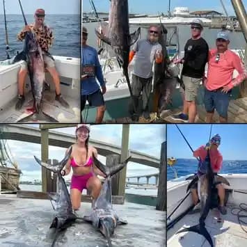 Anglers with giant yellowfin and marlin on offshore Gulf waters