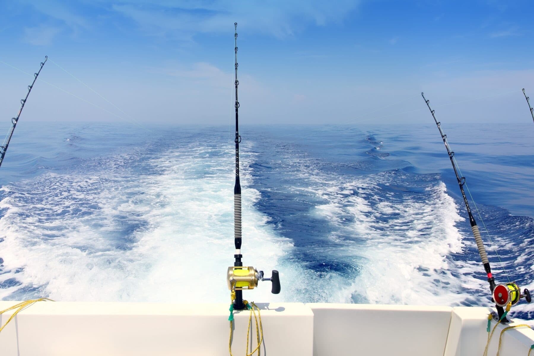 Outer Banks Bluewater: Full-Day Offshore Fishing with Doghouse Charter