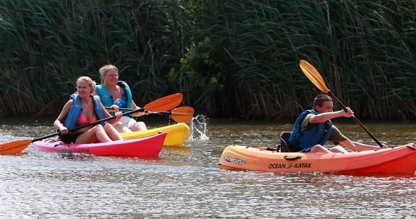 Group of kayakers paddling through reeds on a sunny sheltered river