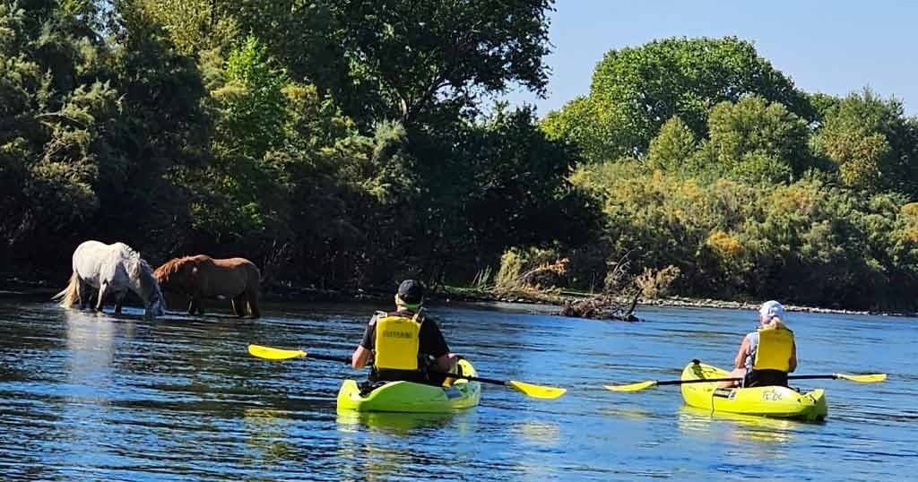 Red paddleboard point of view down a narrow river canyon