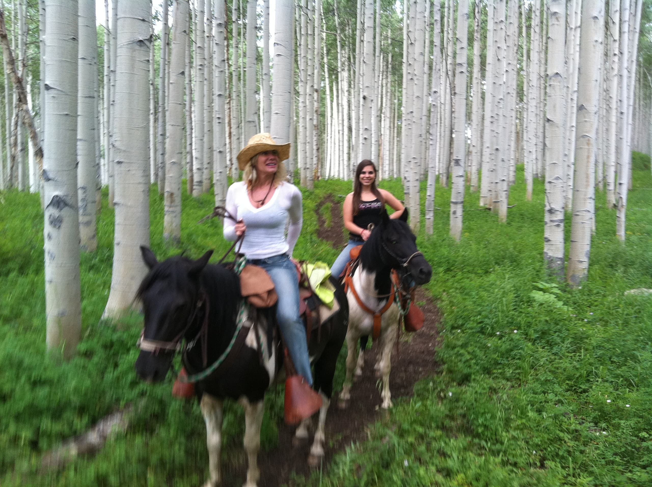 Horseback Riding at Vail Stables: Serenity in Nature