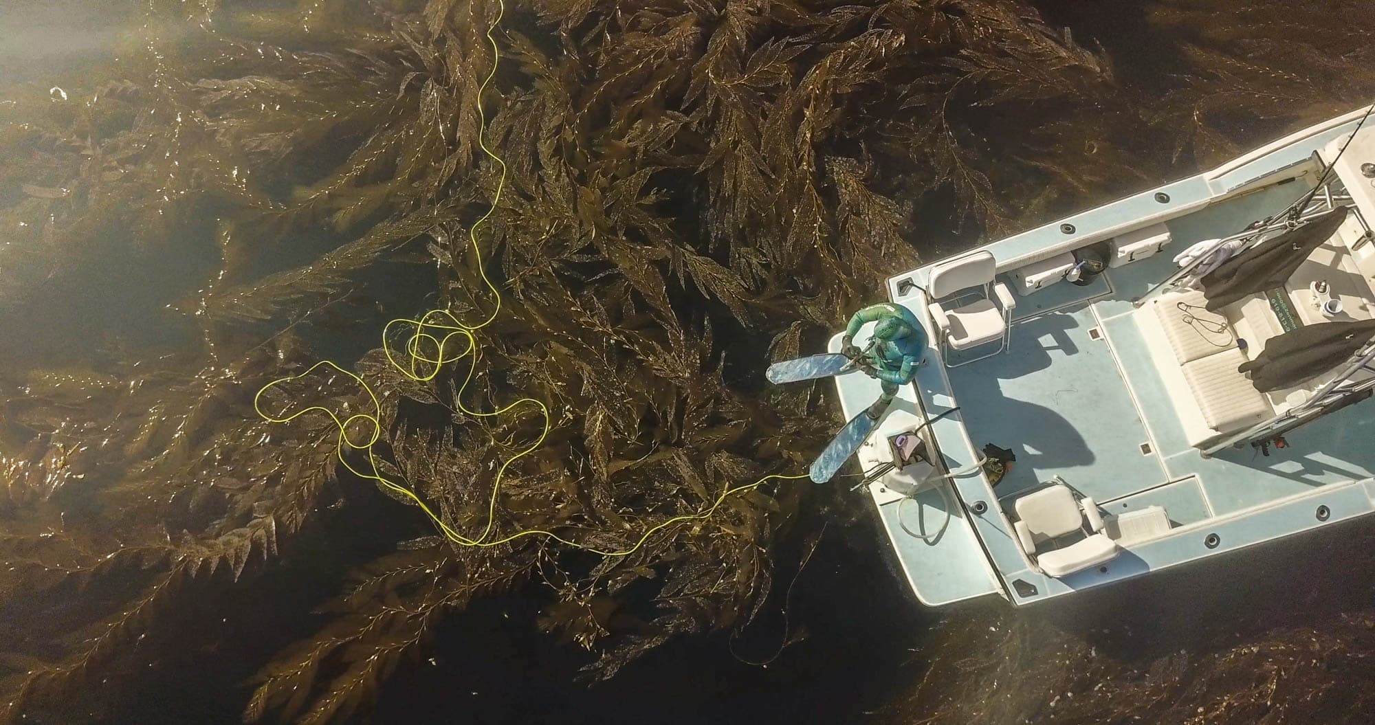 Discover Freediving in San Diego: An Introductory Class for Adventure Seekers