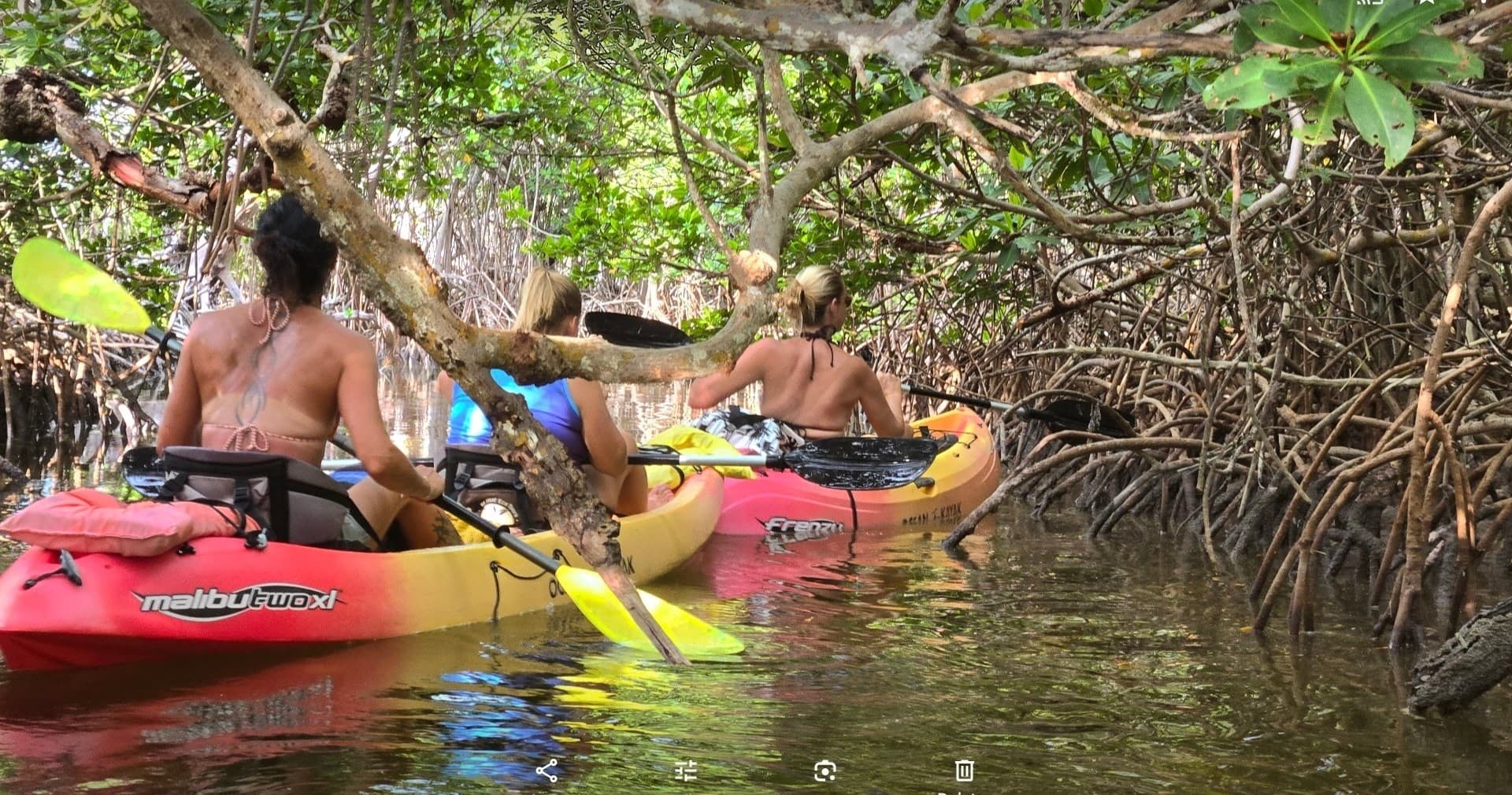 Explore Geiger Key Mangroves with Paddle Hut Rentals