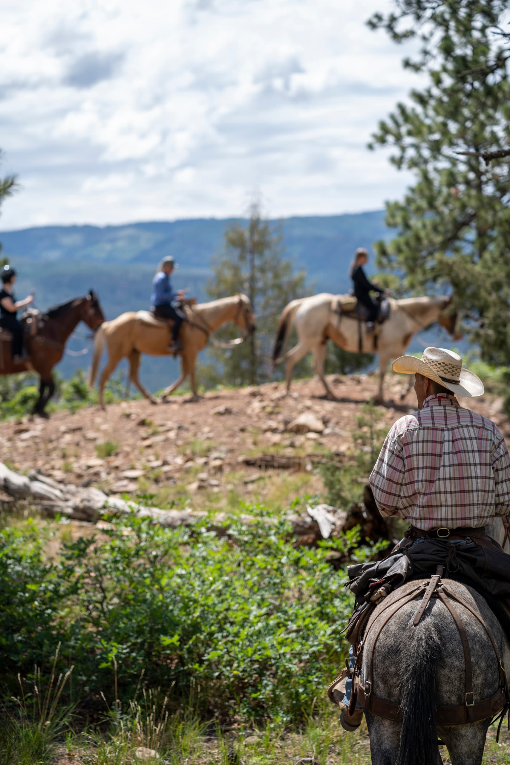 Two Hour Horseback Ride in Durango’s San Juan Mountains