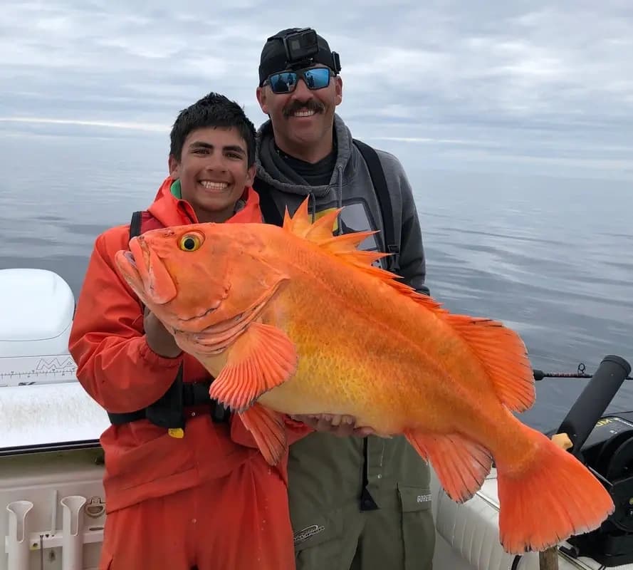 Salmon Crazy Adventures team
