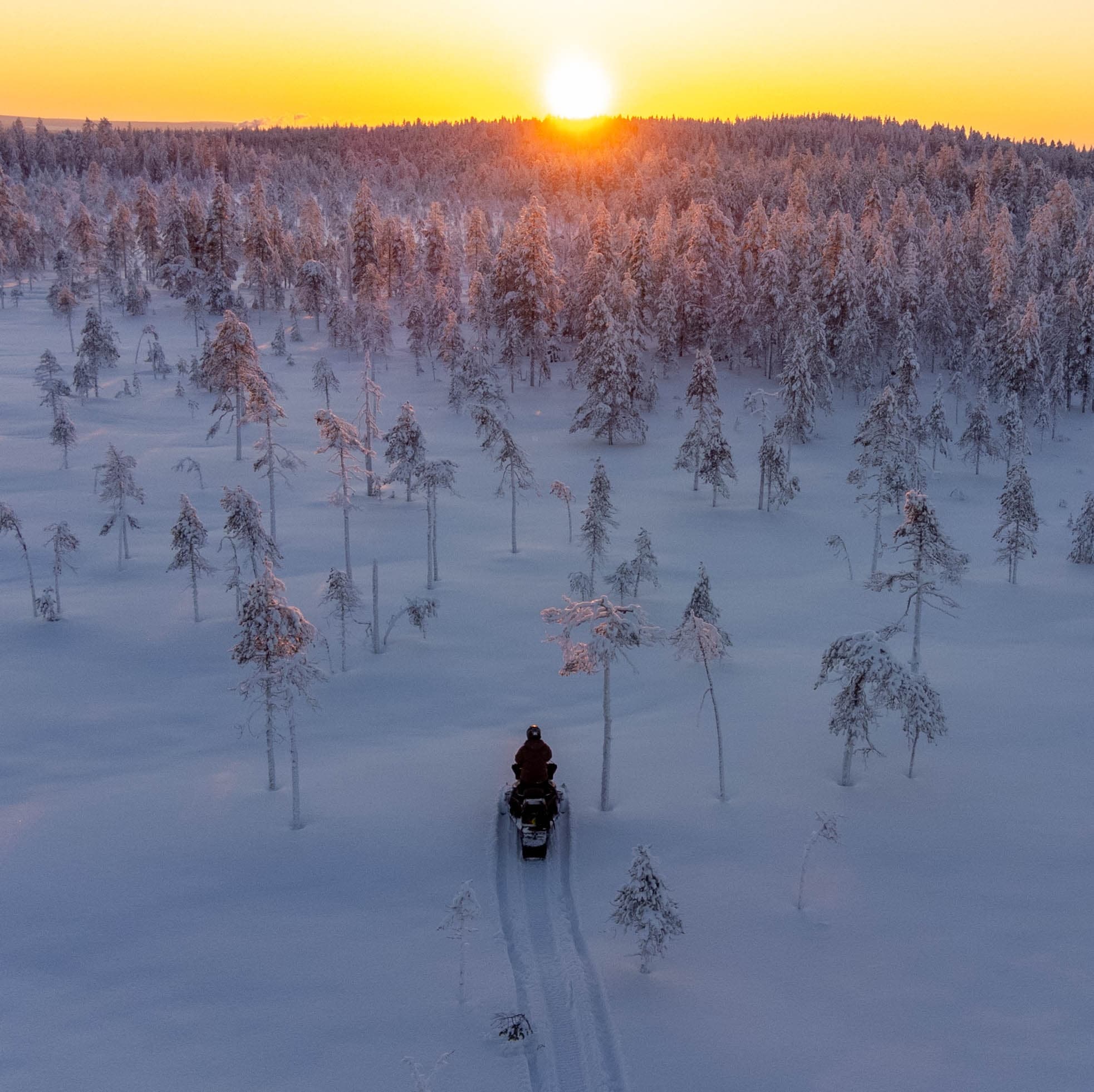 Private Snowmobile Safari in Rovaniemi: Family & Couples Arctic Snowmobiling photo 3