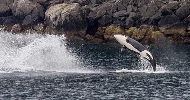 Full Day Fishing & Sightseeing in Seward, Alaska