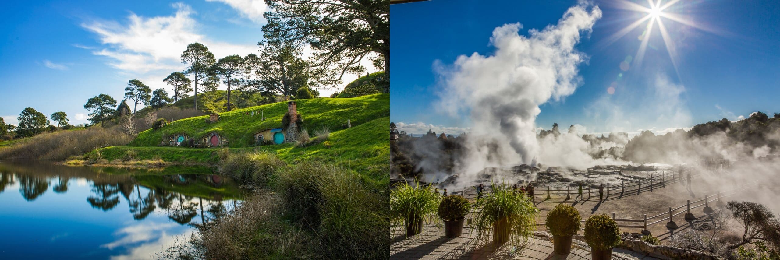 Hobbiton & Te Puia Private Tour with Auckland & Beyond