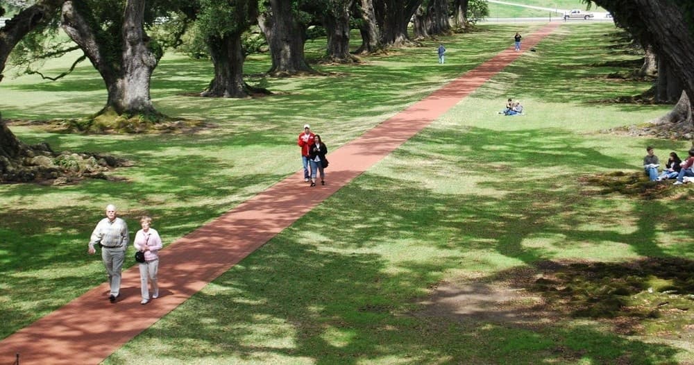 Visitors walking down oak-lined brick path at plantation grounds