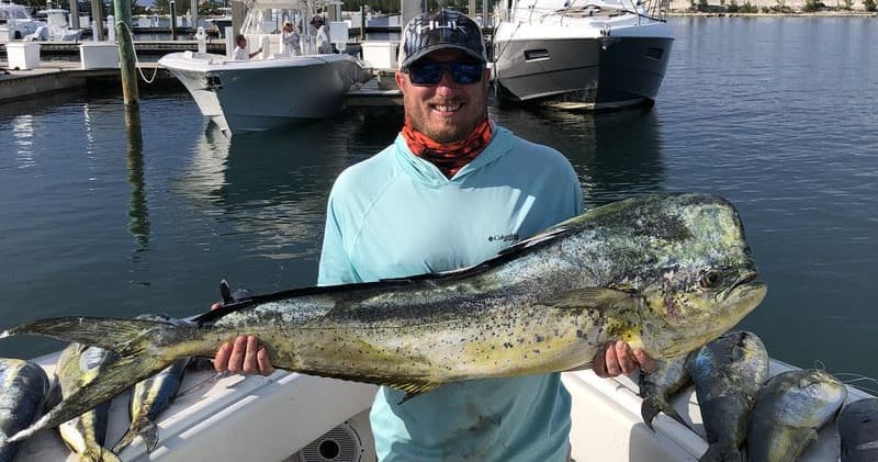 Angler displaying mahi-mahi catch at marina on sportfishing boat