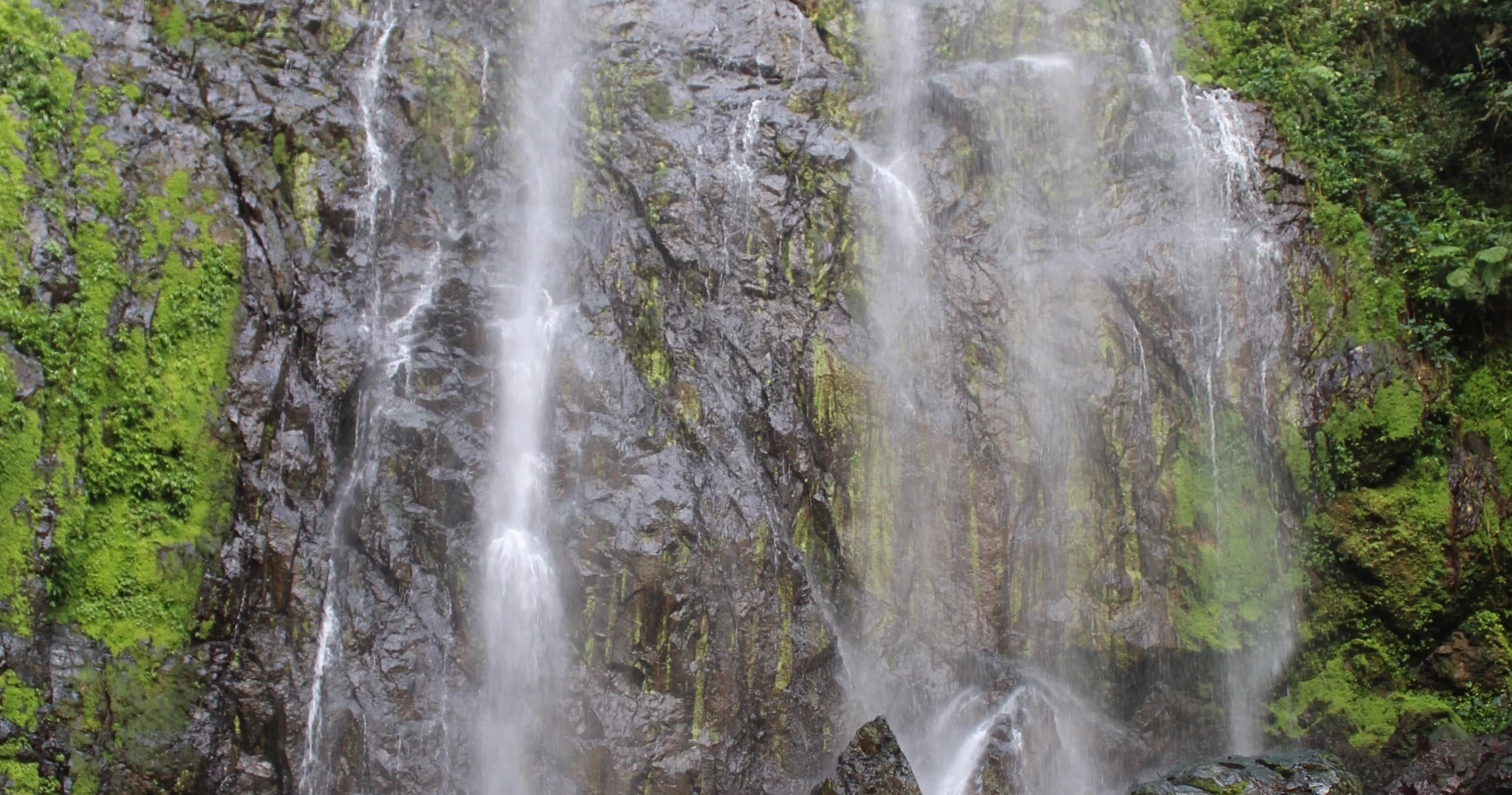 Waterfall cascading over mossy cliffs in tropical rainforest hike