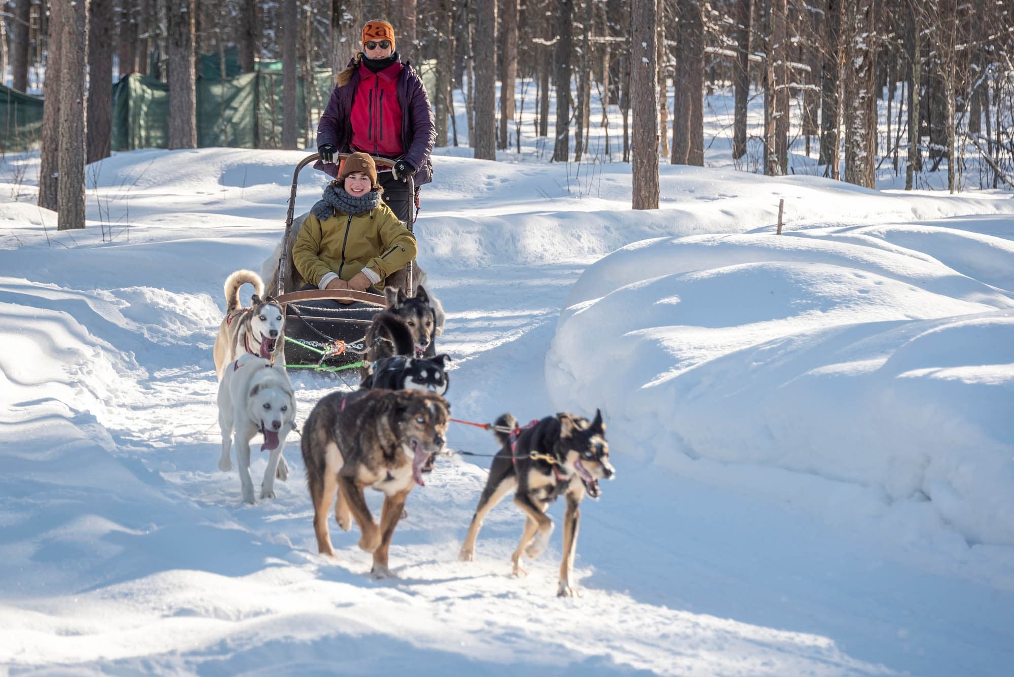 Husky Safari Adventures with Polar Lights Tours in Lapland